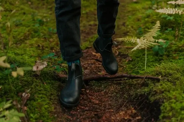 Navy Pants, Skirts & Shorts